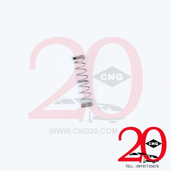 CNG20