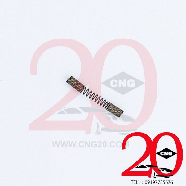 CNG20