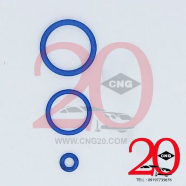 CNG20