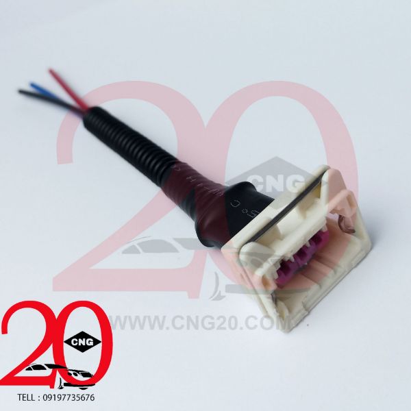 cng20