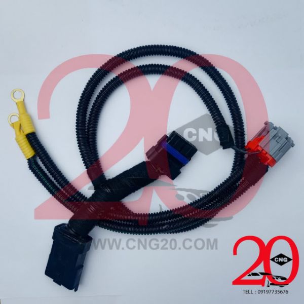 cng20