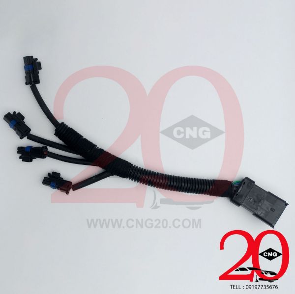 cng20